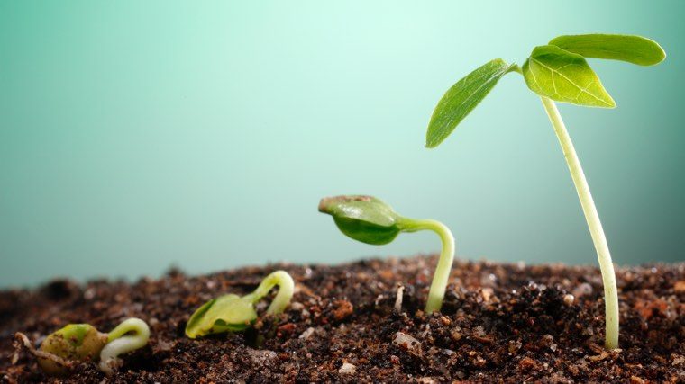 What are the key indicators of spiritual growth I should look for?